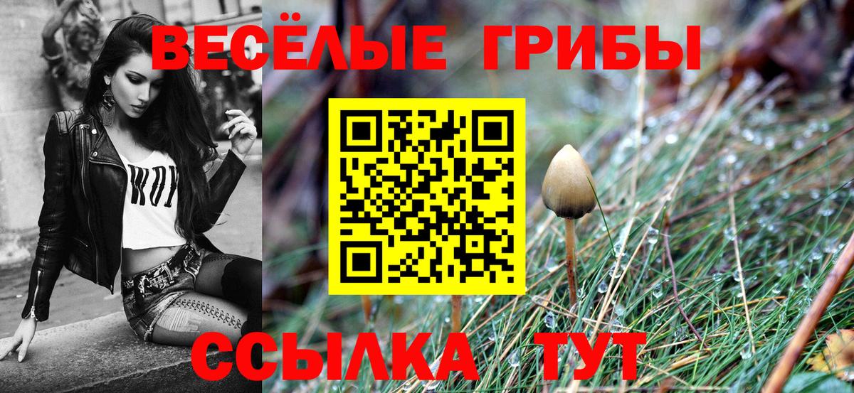 Барнаул  Галлюциногенные грибы Psilocybe  Вход с VPN 