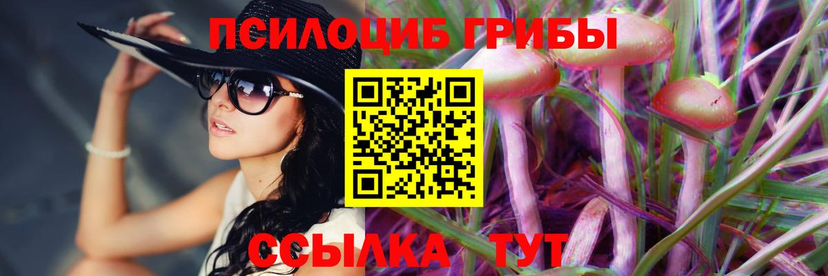 Галлюциногенные грибы мухоморы Барнаул
